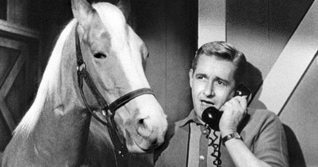Mr. Ed first aired on t.v.