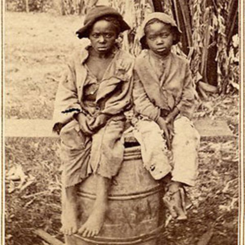 Sarny's children are sold. (fiction)