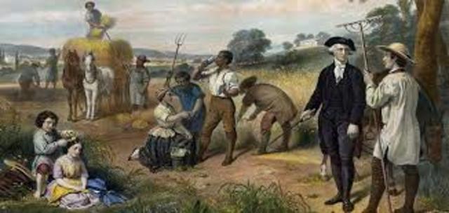 Martha Freed All Slaves George Owned