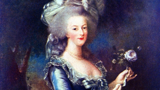 Marriage of Louis Auguste and Marie Antoinette http://www.history.com/news/10-things-you-may-not-know-about-marie-antoinette