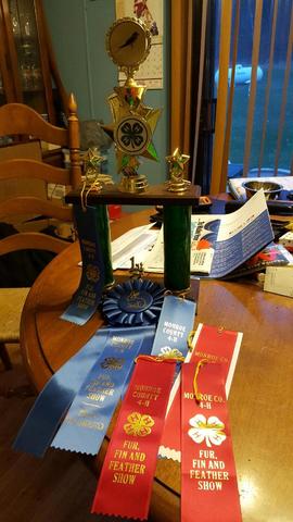 Fur Fin und Feather Show