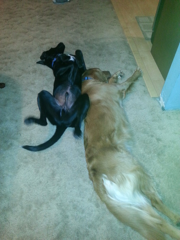 Wir haben Monte gekriegt.