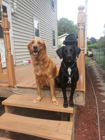 Wir haben Parker gekriegt.