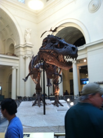 Das Field Museum nach Chicago