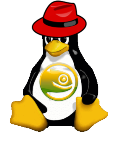 Rd Hat y Novell con Linux