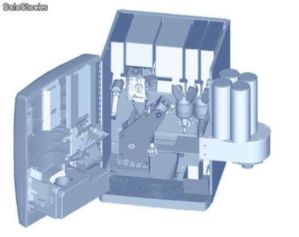 Entre a Special english