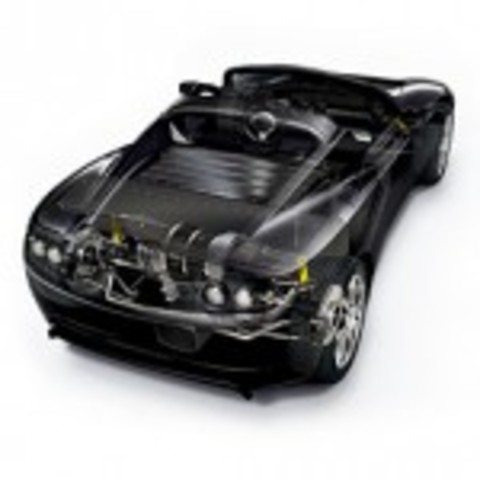 Nacio mi media hermana