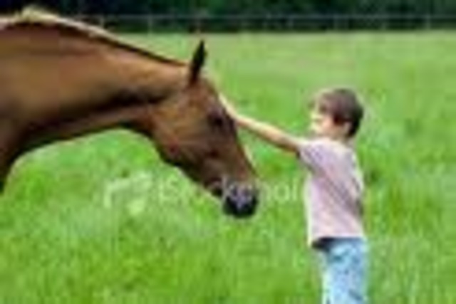 this was when i petted my first horse