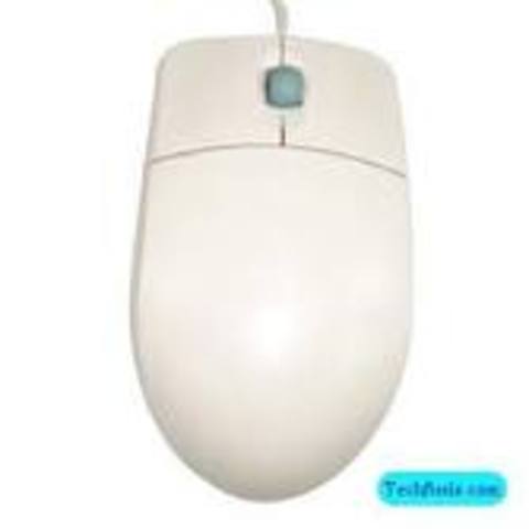 Computer Mouse