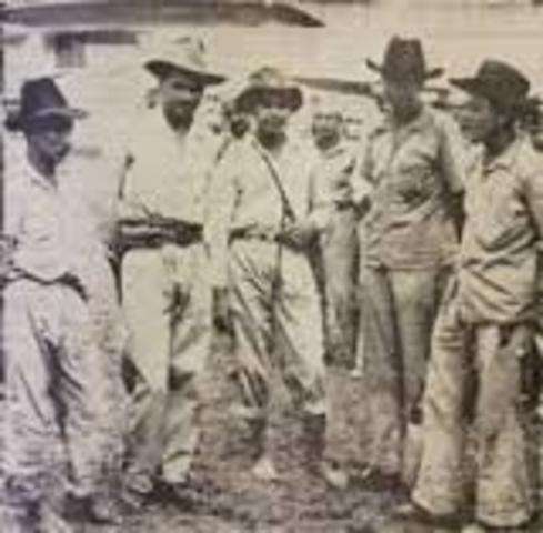 Guadalupe Salcedo & Las Guerrillas Liberales
