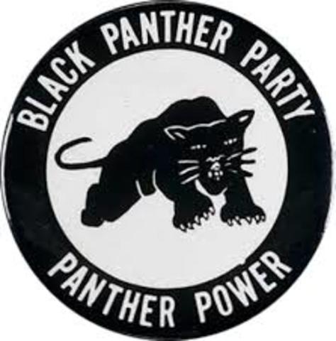 Black panther Party