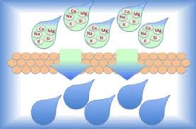 Purificación del agua
