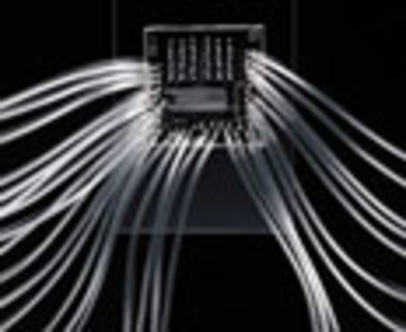 Separación De Cromosomas