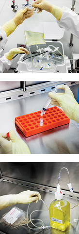 La biotecnología puede estar a punto de encontrar una cura contra el cáncer