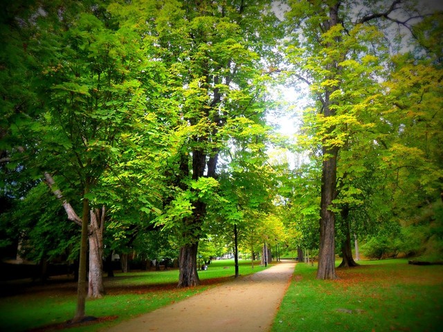 ¿Con qué frequencia cinco veces por mes?