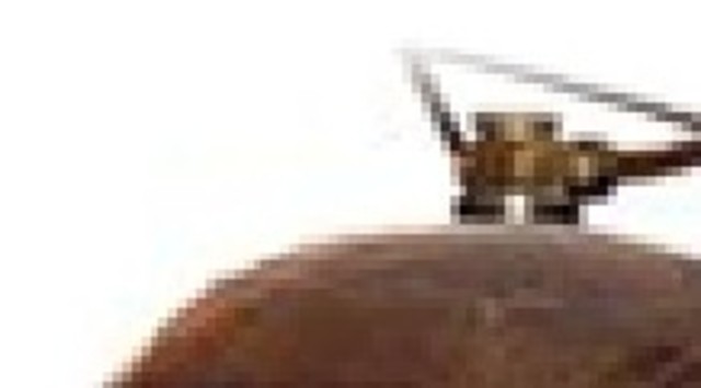 PRIMER VEHICULO A VAPOR