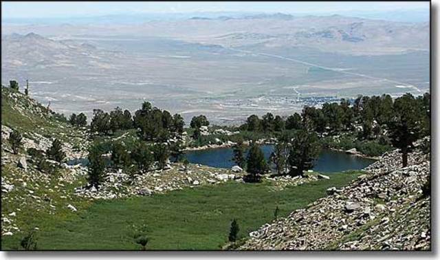 Sarah Winnemucca was born near Humboldt Lake in present day Nevada. She was born into the Paiute tribe and was originally given the name, Thocmetony. This name translates into "shell flower".