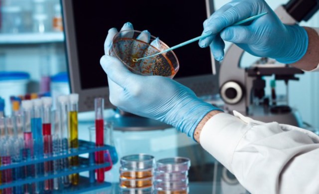 La biotecnología puede estar a punto de encontrar una cura contra el cáncer.