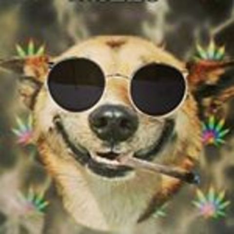 Caso Tráfico de drogas na cidade de Lagarto - SE.