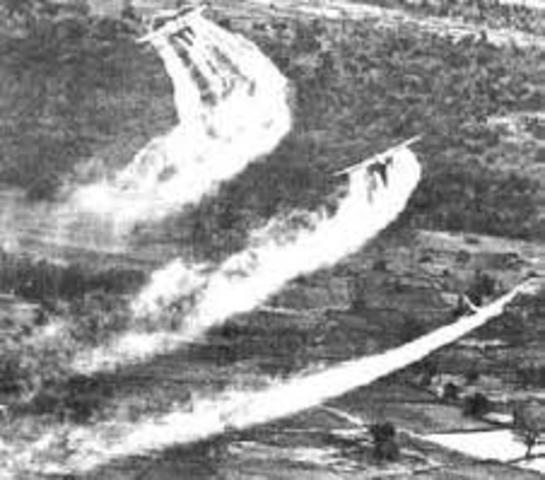 No Herbicides in war