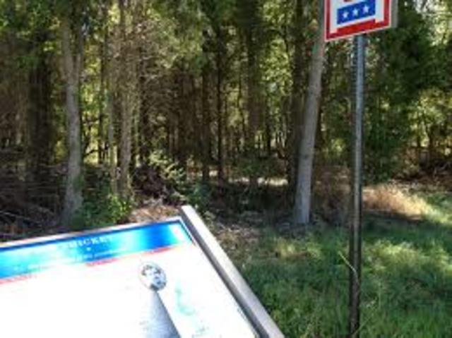 Booth and Herold spend another night in the pine thicket.