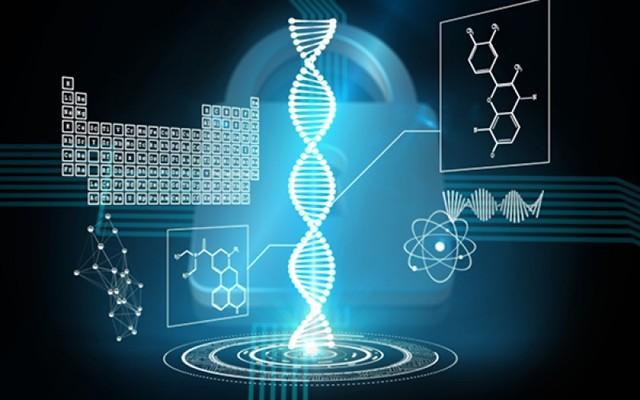 Resultados de ADN Negativos