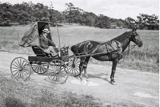 Horse Transportation