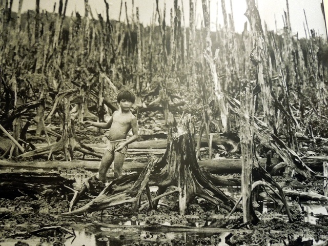 Vietnam War Effects on Vietnam