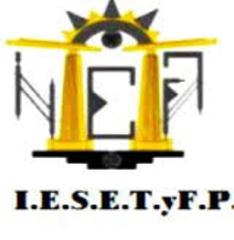 Creacion del Instituto (Resolucion 1017)