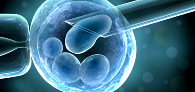 Ingeniería De Células Madres