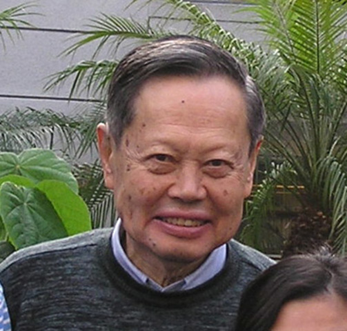 Chen Ning Yang (Teorira de las particulas elementales)