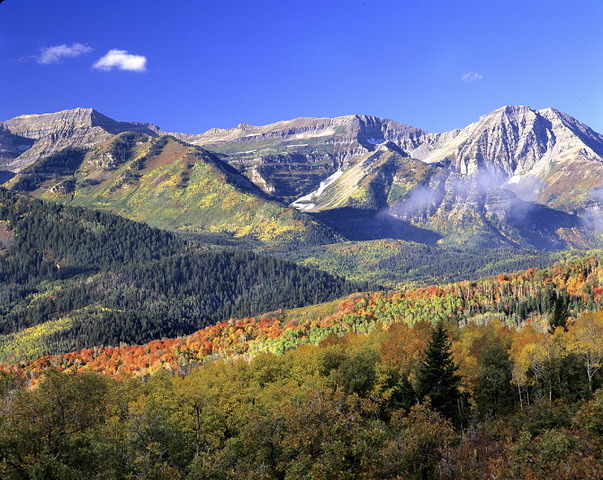 Donner Part goes a different new route