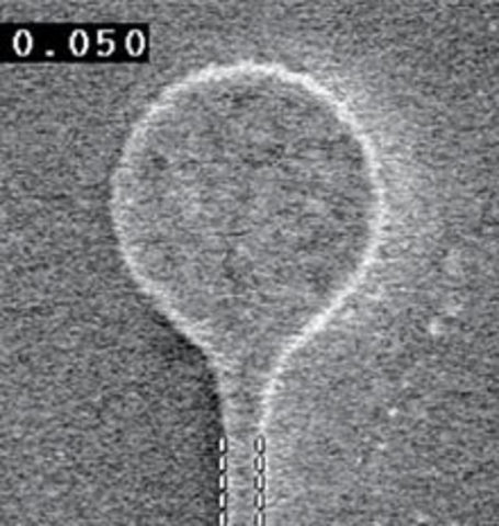 Mas memoria y seguridad social