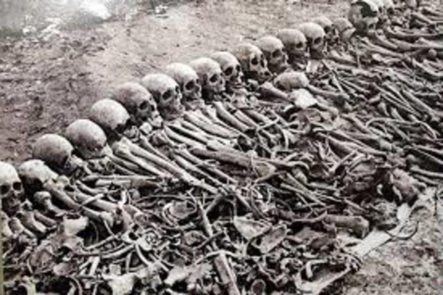 Rwandan Genocide