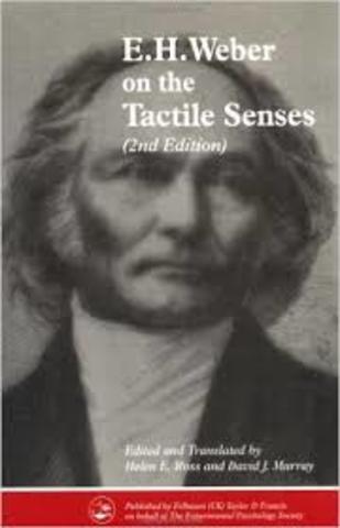 Psicología Experimental