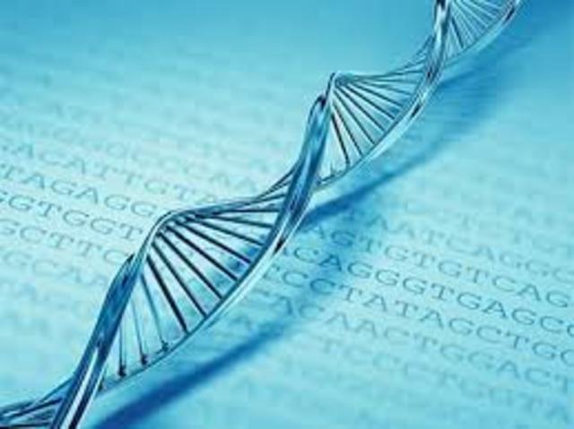 Secuenciación de ADN prenatal