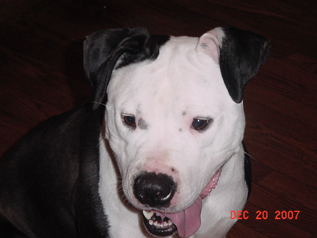 Justice Jones came to our Family