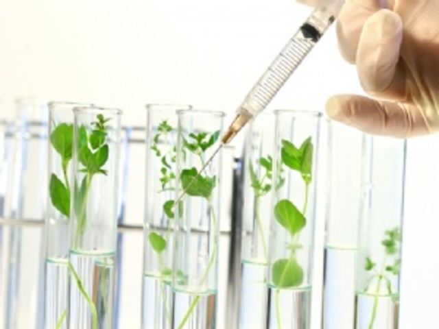 TÉCNICAS  DE INGENIERÍA GENÉTICA PRECISAS