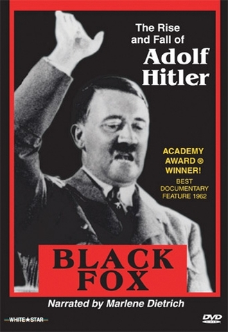 Adolf Hitler's rise to power in Germany
