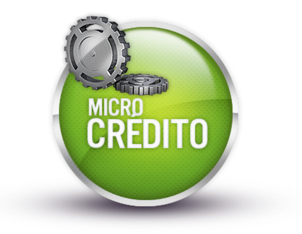 Año Internacional del microcrédito