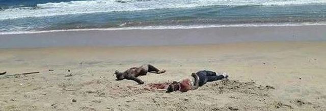 Attentato in Costa d'Avorio