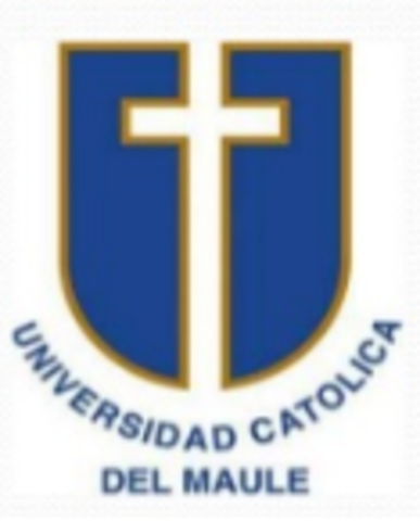 Trabajo Social En Universidad Católica Del Maule