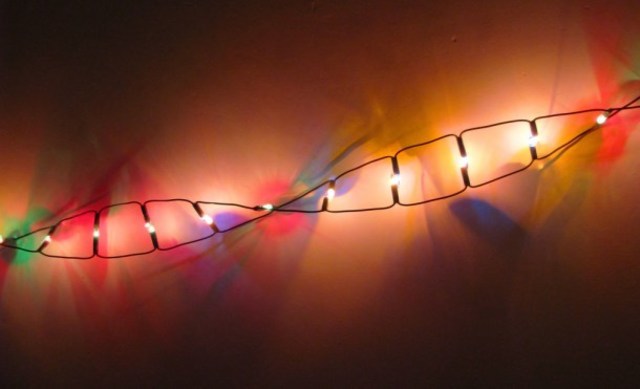 Secuenciación de ADN prenatal