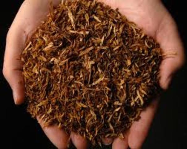 Tobacco