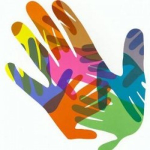 Trabajo social como profesión