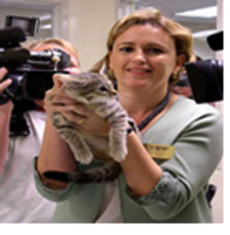 Clonación del primer gato salvaje en el mundo