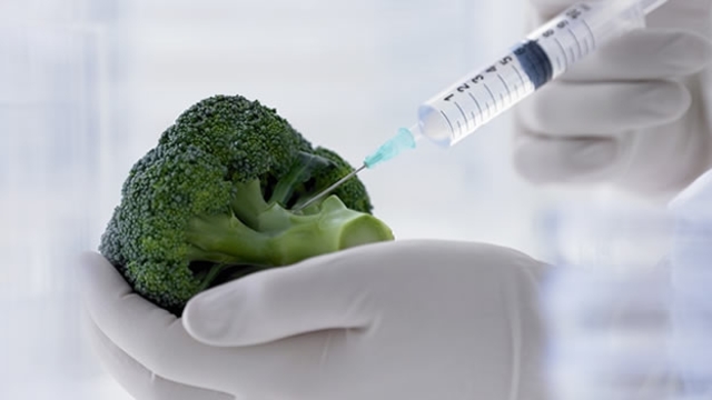 Medio ambiente, tecnología de agricultura en Colombia.