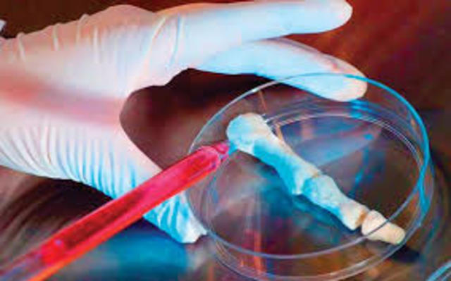 2013 materiales que se auto regeneran