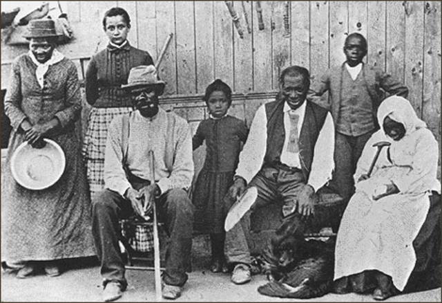 Black Immigrants