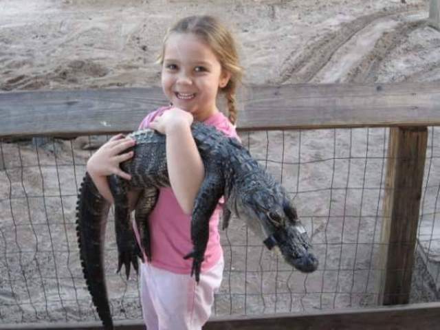 Holding an Alligator